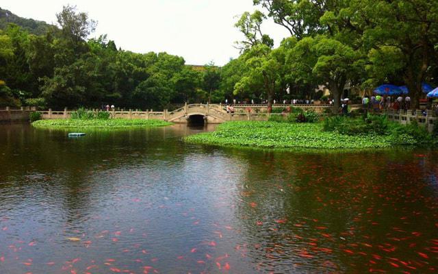 藤编家具风水有影响吗
