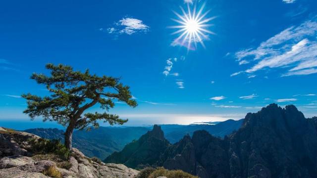 丧父无亲八字命理解析详解
