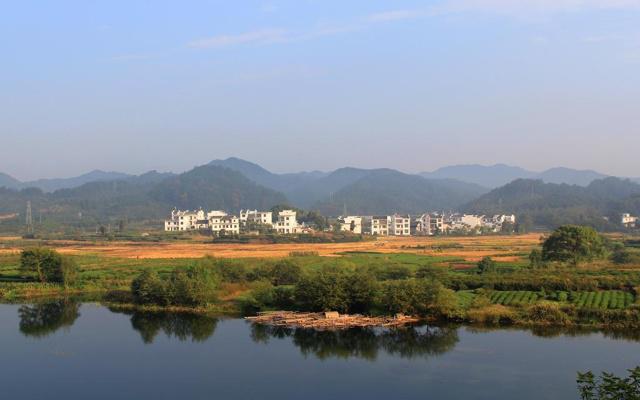 厂子院里种树讲究风水吗
