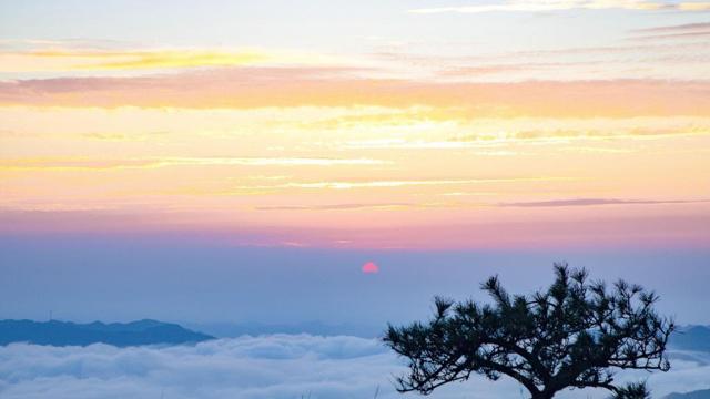 爸爸属猴妈妈属狗 孩子属什么比较好