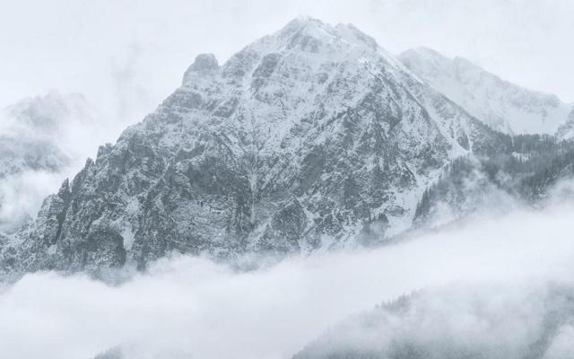 天师府是风水世家吗