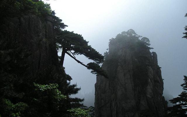 戊癸合化八字命例