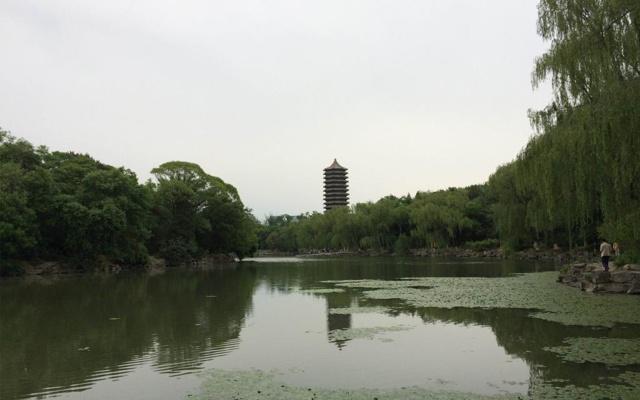 看企业的八字命盘怎么看