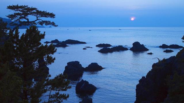 庭院花坛形状风水讲究吗