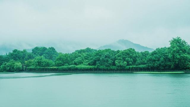 玄关植物风水作用大吗