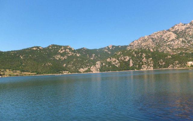 散尾葵比人高会影响风水吗