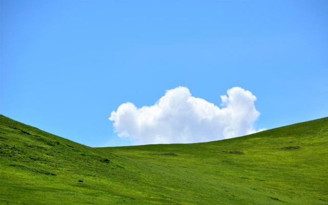 命里有人帮的生肖女 属鼠属虎属蛇