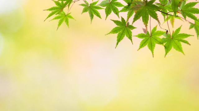 瑟瑟发抖 冬天连睡觉都全副武装的生肖