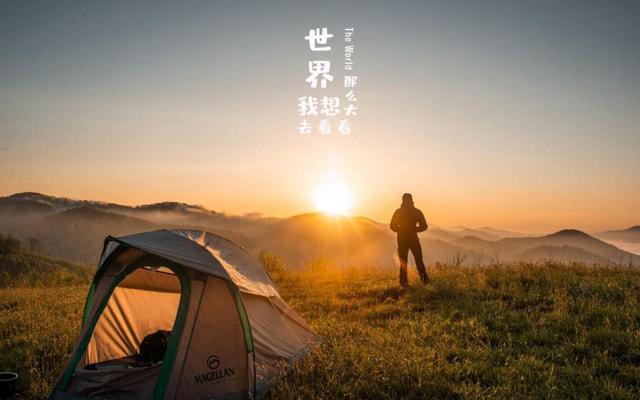 命理八字带官星的女人