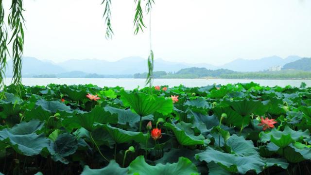 女人八字该算哪种命格
