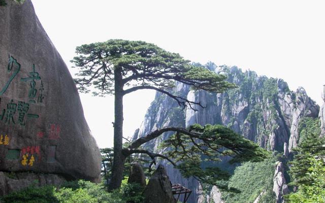 路口有电杆影响风水吗