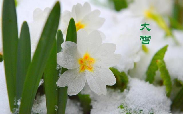 桂平有什么风水大地吗