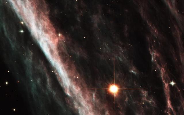 星期一代表什么生肖（星期一是什么生肖）