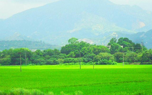 茅庐三顾打一生肖 生肖虎和生肖鸡